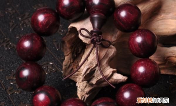 银杏树为什么那么珍贵,你知道吗英语