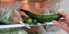 黄瓜可以放冰箱冷冻，新买的黄瓜可以放冰箱里吗