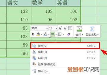 excel怎么样复制表格保持原有的样式
