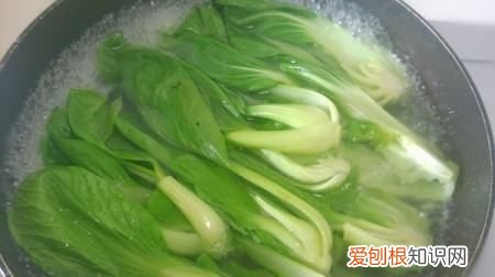 油焖油菜的家常做法，油菜的做法大全家常菜的做法视频