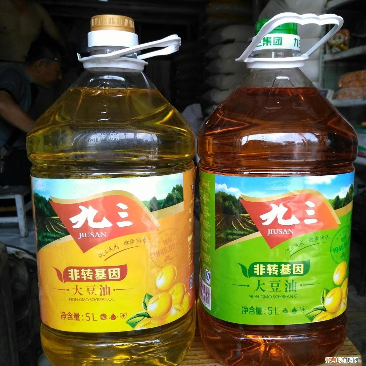 全国哪的食用油好吃？