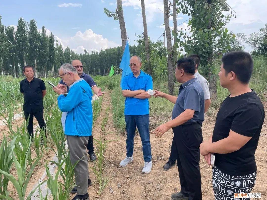 山西汾阳王酒业积极打造绿色循环生态产业链