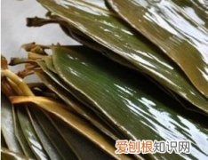 干粽叶煮多长时间可以用，干粽叶要泡多长时间才能包粽子