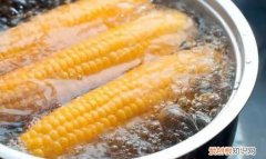 怎么判断煮玉米熟没熟，怎么判断玉米渣熟不熟