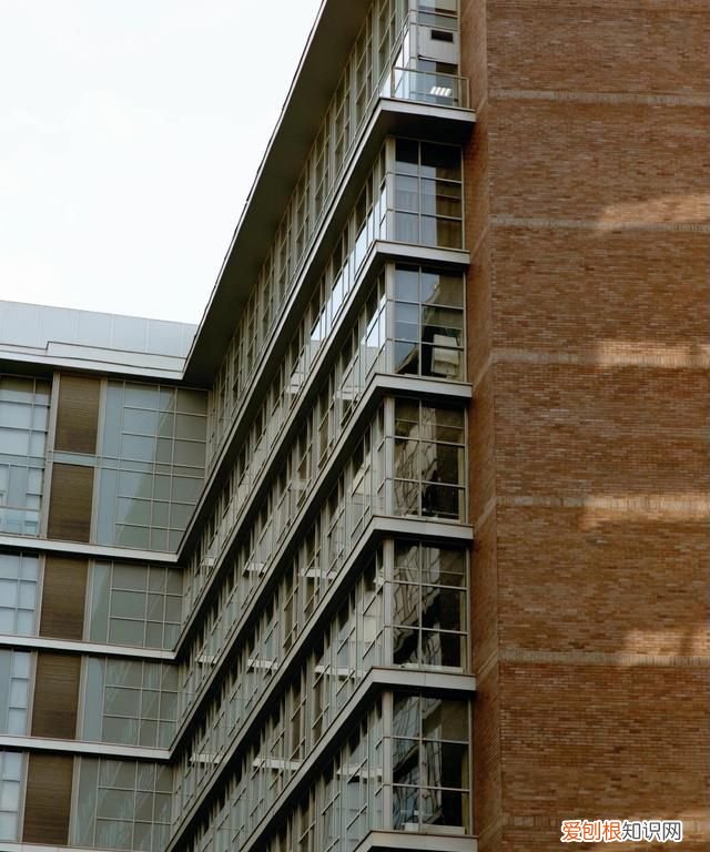 三观是哪三观分别是什么意义