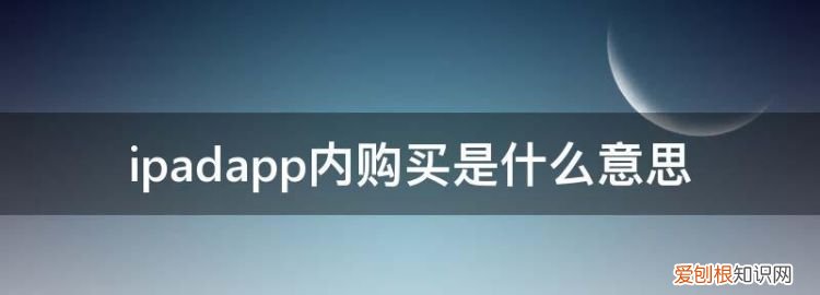 app内购买什么意思，app购买的项目怎么退