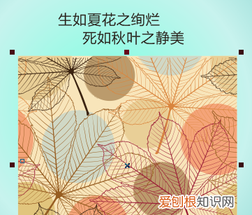 cdr裁剪工具怎么用不了，cdr裁剪工具需要如何才可以用