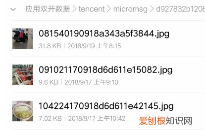 手机本地文件夹在哪里，手机文件管理在哪里打开