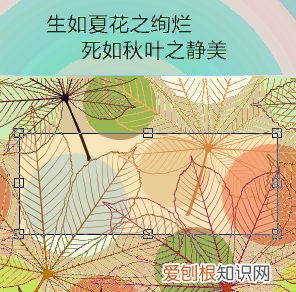 cdr怎么裁剪掉多余的部分，cdr裁剪工具需要咋地才能用