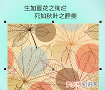 cdr怎么裁剪掉多余的部分，cdr裁剪工具需要咋地才能用