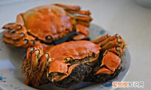 青蟹刚死不久能吃吗