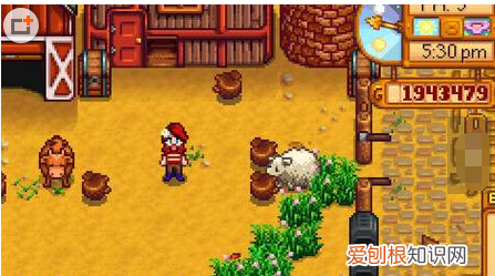 星露谷物语鸡蛋怎么孵化,星露谷物语最新版下载1.6