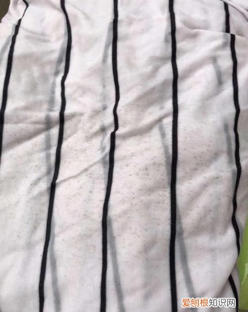 发霉了的东西怎么除霉，衣物发霉了怎么去除霉菌