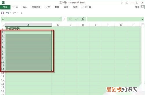 单元格格式设置成数字身份证号码