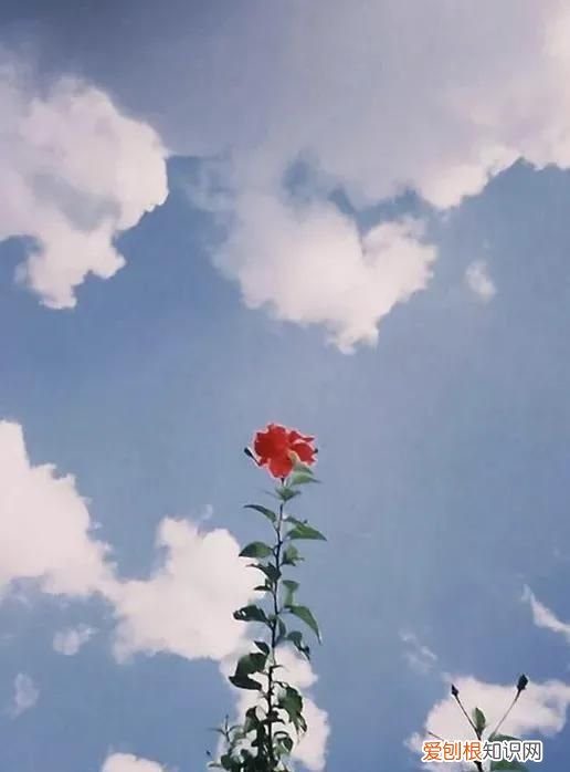 晚上照镜子吓得睡不着