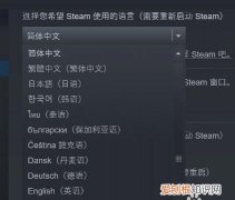 steam英文怎么改中文，steam英文界面怎么变成中文