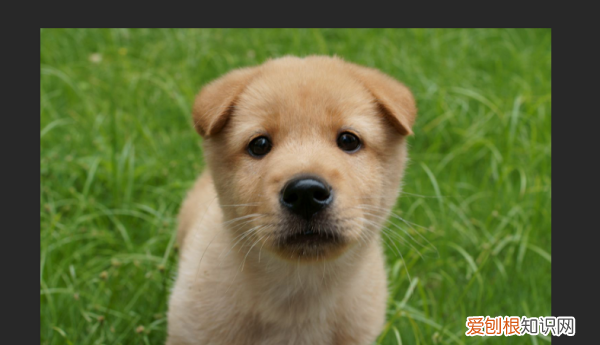 如何做一像素的，ps怎么提高照片像素