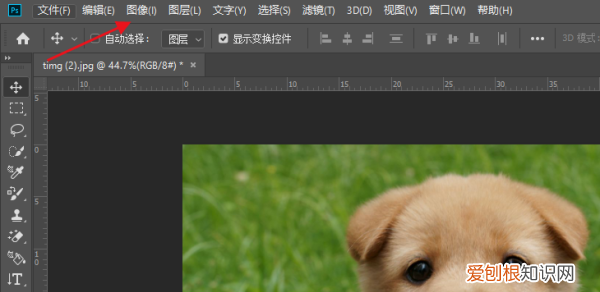 如何做一像素的，ps怎么提高照片像素
