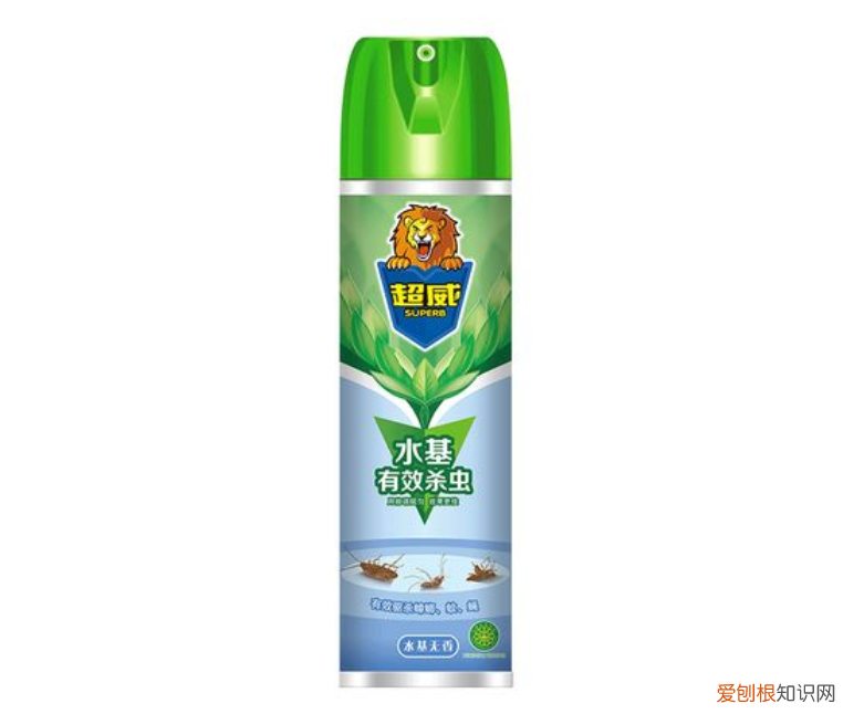 蟑螂药哪种最好用？10款灭蟑产品你用过几款？