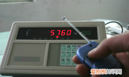 一磅是多少斤，一磅是多少市斤