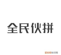 全民伙拼是什么