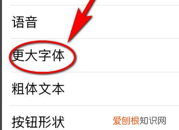 苹果手机字体大小怎么设置，苹果手机字体大小要如何才可以设置