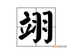 翊字取名的含义，翊是什么意思总在名字里好吗