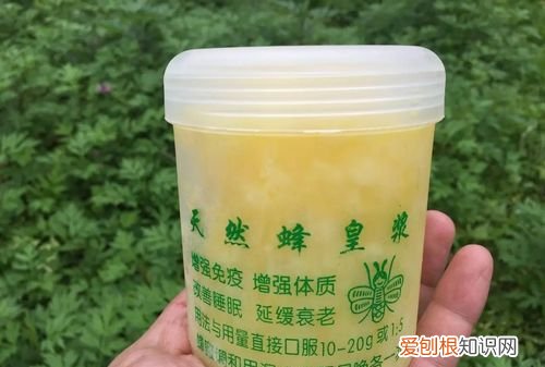 蜂皇浆和蜂王浆的区别，蜂王浆和蜂王浆冻干粉的区别