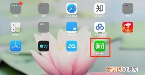 ipad青少年模式在哪里设置