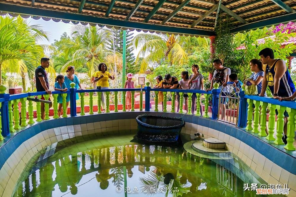 没套路!无小费!马来西亚珍拉汀湾超详攻略