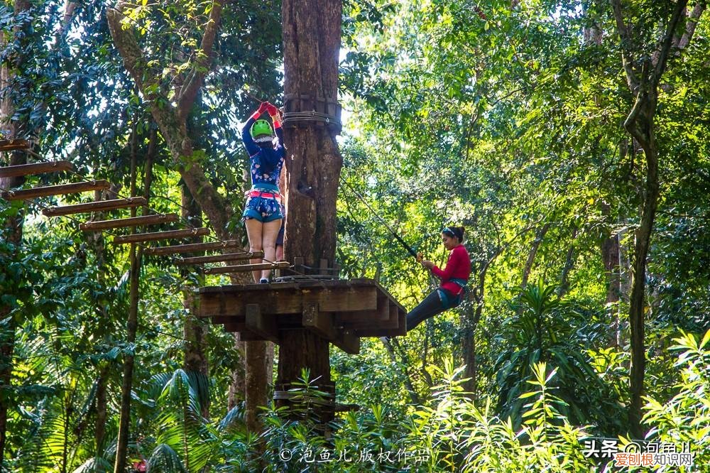 没套路!无小费!马来西亚珍拉汀湾超详攻略
