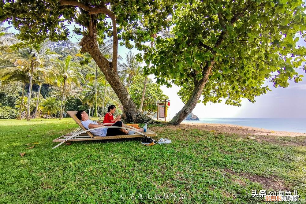 没套路！无小费！马来西亚珍拉汀湾超详攻略