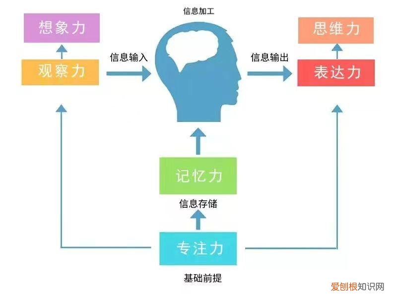 培养孩子专注力的6个小方法和6个亲子游戏