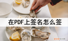 在pdf上签名怎么签