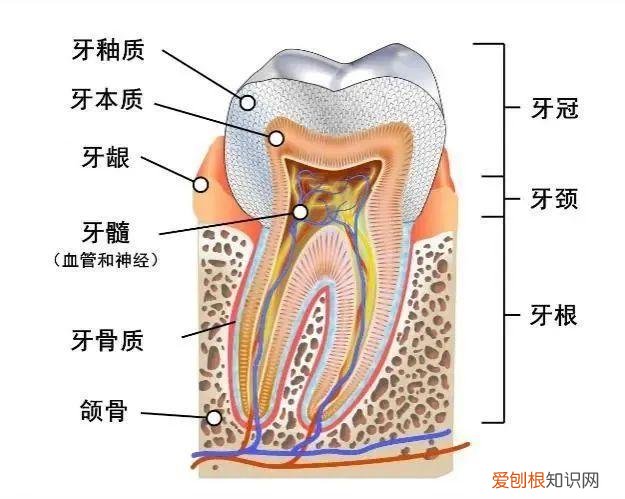 吃东西怕酸又怕热？千万别不当回事