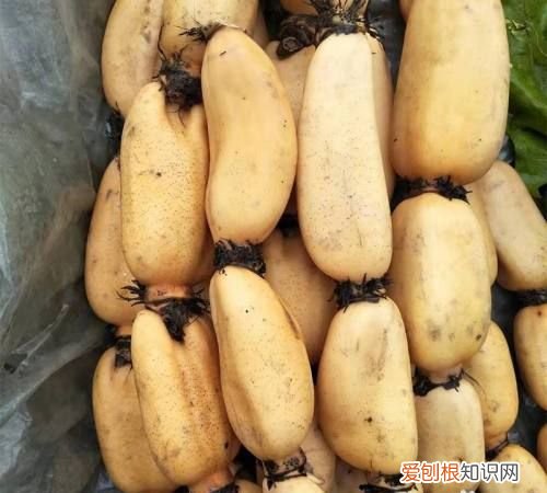 藕可以放冰箱保鲜几天，莲藕削皮放冰箱可以放几天