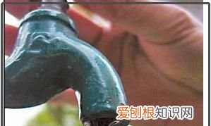 小苏打灭蟑螂最有效的方法，家庭消灭蟑螂的6种简单可行的方法