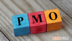 pmo与项目经理区别，PM和PMO有什么区别与关联