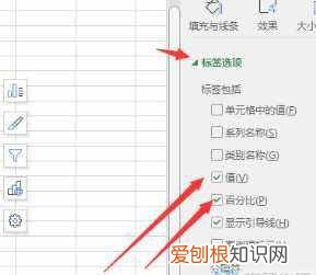 Excel如何柱状图右侧百分比，柱形图怎么显示数值和百分比