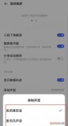 为什么vivo手机录屏没有声音