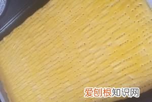 奶酪可以做饼干吗,大孔奶酪饼干怎么做