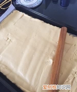 奶酪可以做饼干吗,大孔奶酪饼干怎么做