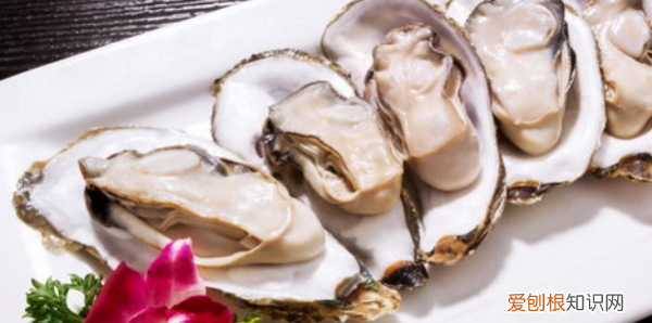 牡蛎蒸多久能熟，蒸牡蛎要多长时间熟