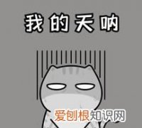 无语了怎么接下一句