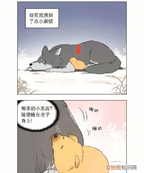 熊出没电影顺序，憨憨狼是什么动漫