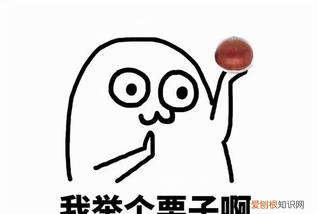 985考研英语怎么学好,考研究生没基础怎么学英语