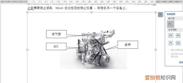 word如何制作图片不同形状排版