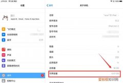 ipad怎么查型号