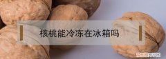 核桃放冰箱冷藏还是冷冻，芝麻核桃粉放冰箱冷藏还是冷冻保存