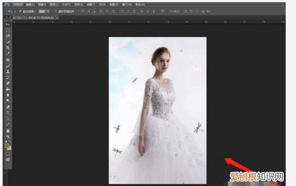 ps怎么批量套模板，PS该要怎样才能批量调色